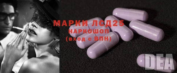 стаф Кулебаки