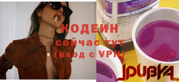 стаф Кулебаки