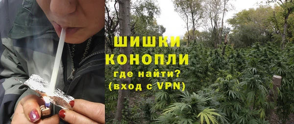 стаф Кулебаки