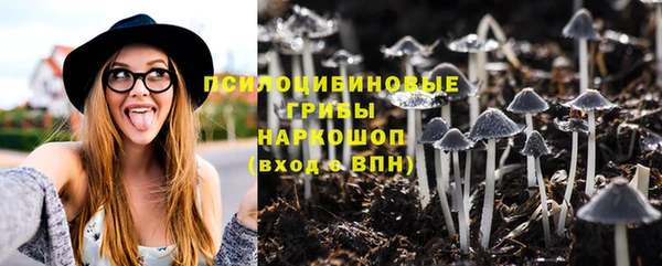прущая мука Кукмор