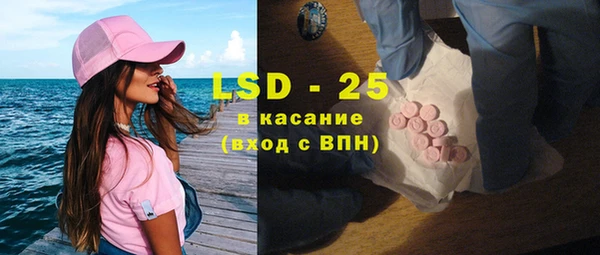 стаф Кулебаки
