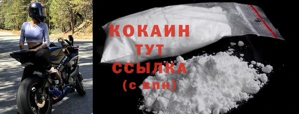 стаф Кулебаки