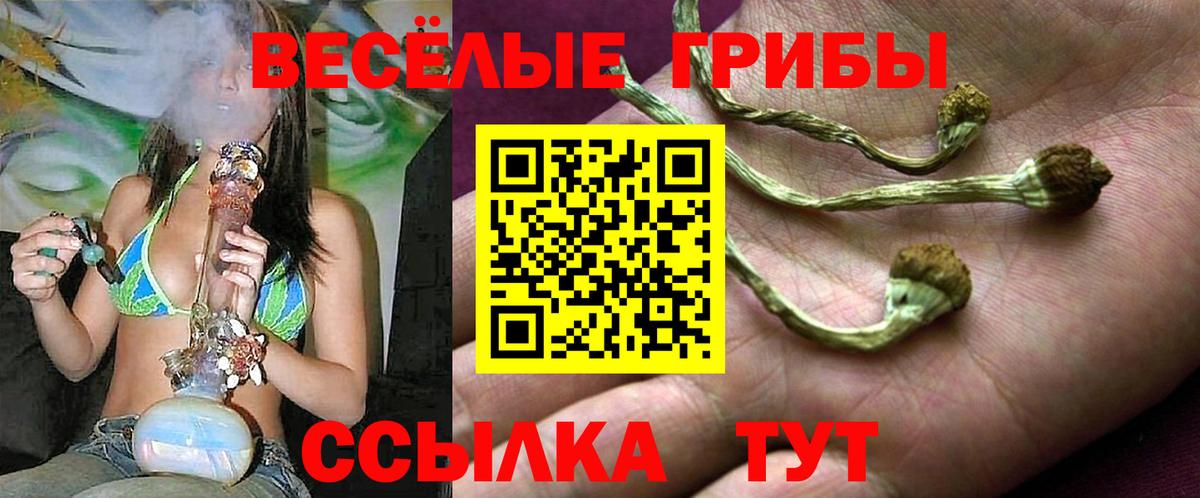 Псилоцибиновые грибы MAGIC MUSHROOMS  Вход с VPN  Ангарск 
