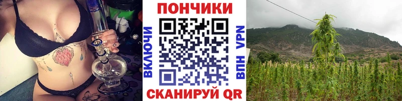 где купить наркотик  кракен зеркало  Бошки Шишки THC 21%  Ангарск 